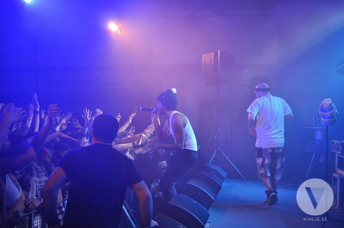 Brännbollsfest ft Timbuktu + Promoe + LTR + Henry + Sockerbeat