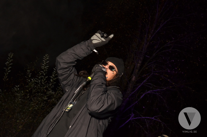 Deep Forest II - Open Air Umeå