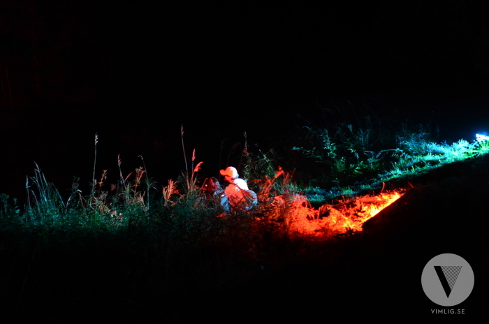 Deep Forest II - Open Air Umeå