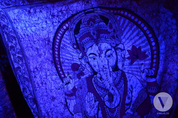 Deep Forest II - Open Air Umeå